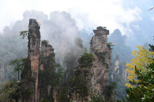 去張家界需要準(zhǔn)備什么？了解這些游玩須知，比準(zhǔn)備衣服要重要