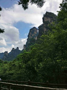 張家界旅行 一場(chǎng)別開(kāi)生面的自然奇境之旅