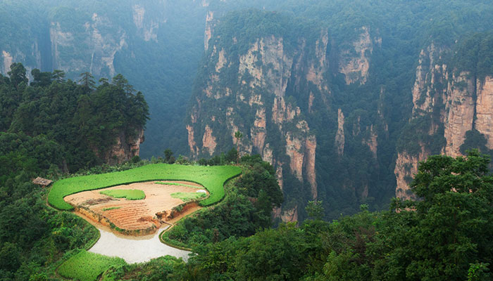 張家界景區(qū)門(mén)票價(jià)格及旅行實(shí)用指南