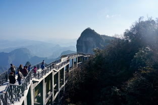 張家界旅游怎么樣？深度解析張家界旅行的迷人之處與實(shí)用建議