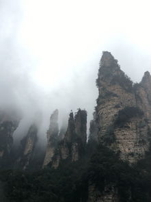 張家界旅游怎么樣——探秘人間仙境的真實(shí)體驗(yàn)
